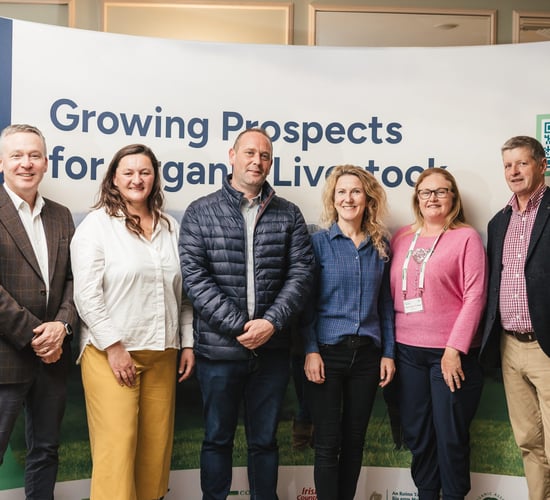 Farmers urged to tap into growing prospects for organic livestock