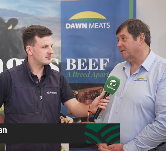 Watch: 'Room for optimism on beef trade into 2026' - Nolan