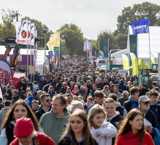 85,000 attend on day 2 of Ploughing 2025