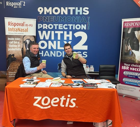 Zoetis Rispoval calf village returns to AXA National Dairy Show