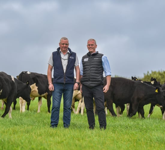 Delivering medal-winning performances from calves in Donegal