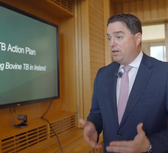 Minister: New TB measures funding yet to be decided as budget talks continue