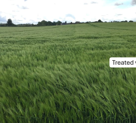 Using science-backed strategies to reduce risks and boost crop yields