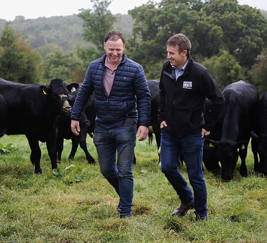 Milk replacer’s quality producing thriving calves for Cavan farmer