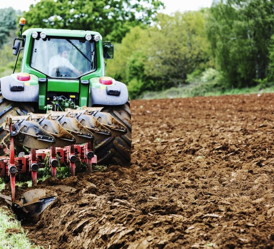 Political pressure growing on govt to 'deliver for tillage sector' in Budget 2026