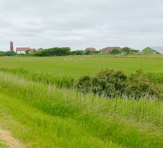 The advantages of clearing field edges efficiently and safely