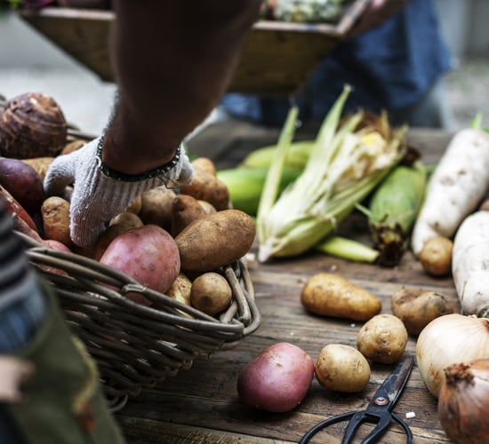Last call for farmers, fishers and growers to take part in annual Regulator survey