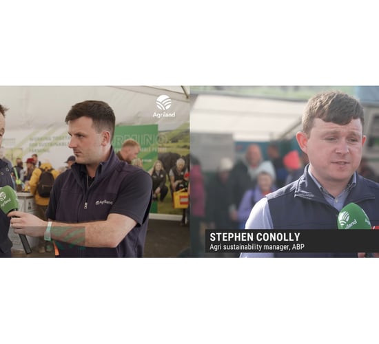 Factories set out generational renewal supports at Ploughing 2025