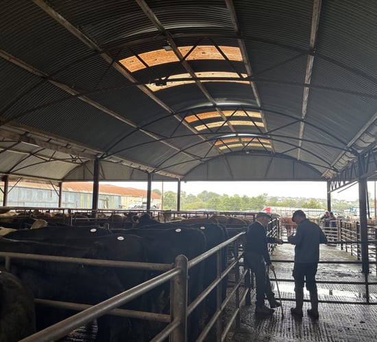 What was the mood at the mart on Mercosur?