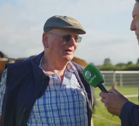 How horse ploughing competitors fared at #Ploughing2025
