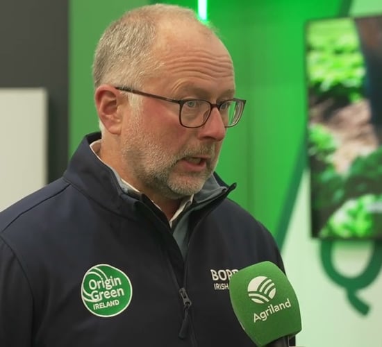 Bord Bia's thoughts on the sheep market this year #Ploughing2025