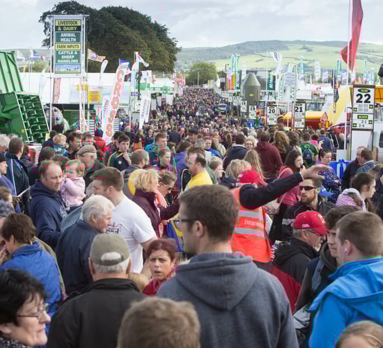 Rumbles Catering: What's on the menu at Ploughing 2025?