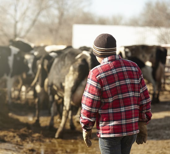Ireland's family farms face a 'fight for survival' - agri committee chair