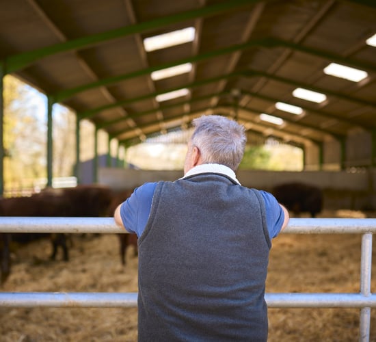 Plan to ensure decisions about farm 'handled in the way' you want - state service
