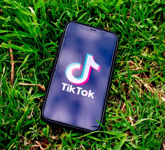 TikTok Shop to make debut at National Ploughing Championship