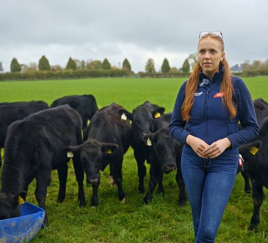 Watch: Availing of fencing and drinker funding on Trim beef farm
