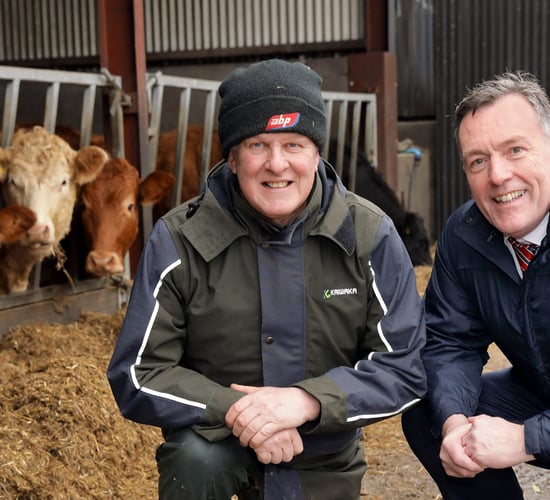 Update from ABP's UK red meat sustainability programme