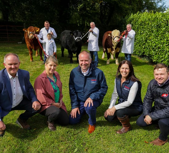 Tesco Ireland to sponsor ABP Bull Improvement Initiative