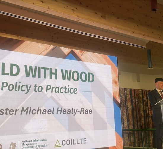 'We need more land available for planting trees' - Minister Healy-Rae