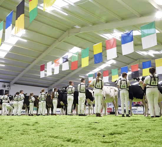 AXA National Dairy Show: Results from day one