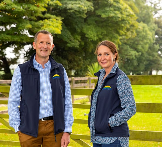 Dawn Meats reports 63% reduction in Scope 1 and 2 emissions
