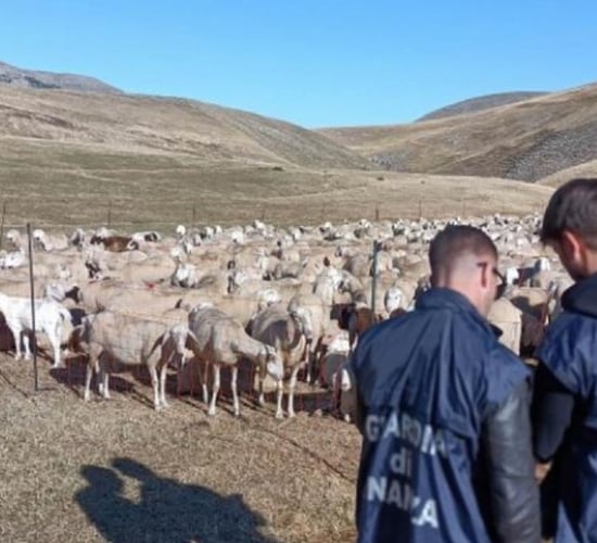 Italy cracks down on €20m organised crime farm funds fraud