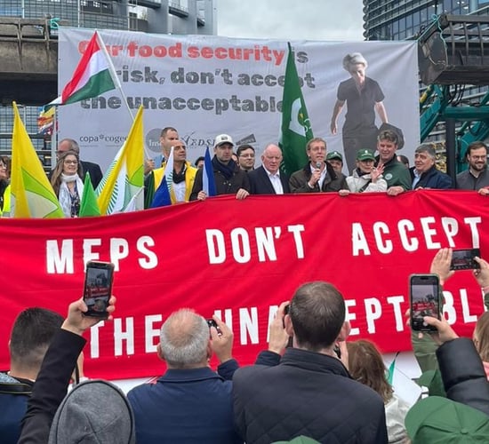 Watch: Farmers hold 'flash action' in Strasbourg over future of CAP