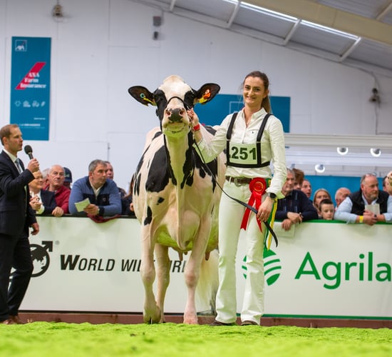 From parlour to podium: The best of the AXA National Dairy Show