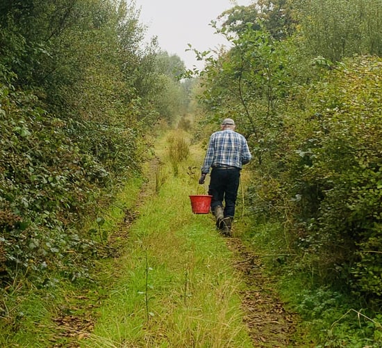 Photo competition looking for entries that capture 'natural beauty' of Irish hedgerows