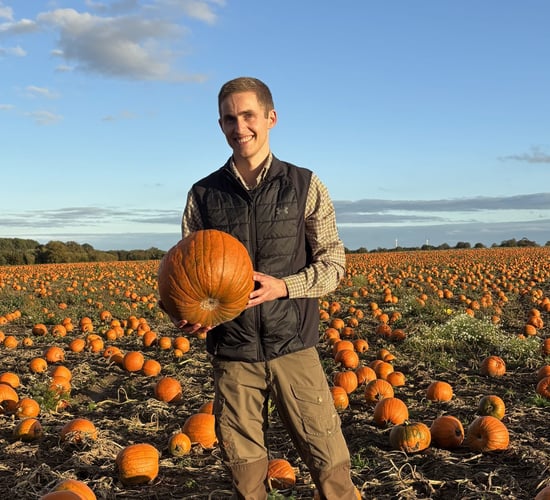 Watch: Denmark's largest pumpkin producer in the lead-up to Halloween