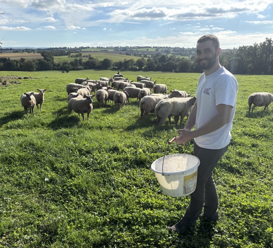 Insights from a 220ha Charollais sheep and Limousin suckler farm in France