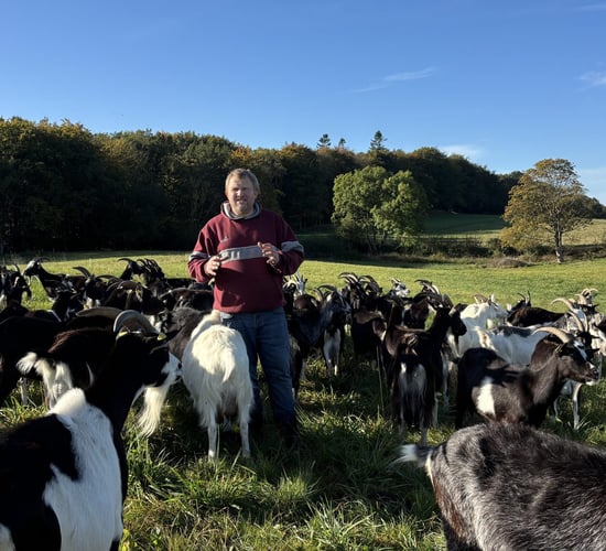 Watch: From finance careers to cheesemaking on a goat farm in Denmark