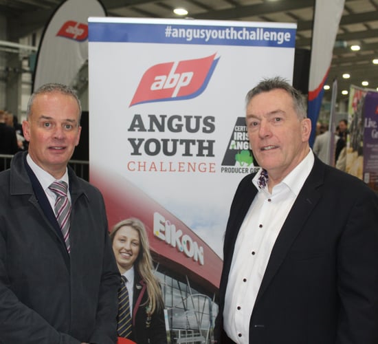 Red meat sector needs 'young people from every walk of life' - ABP NI director