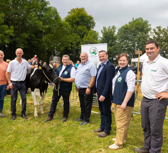 Irish Pure Friesian Club to hold all-new showcase sale