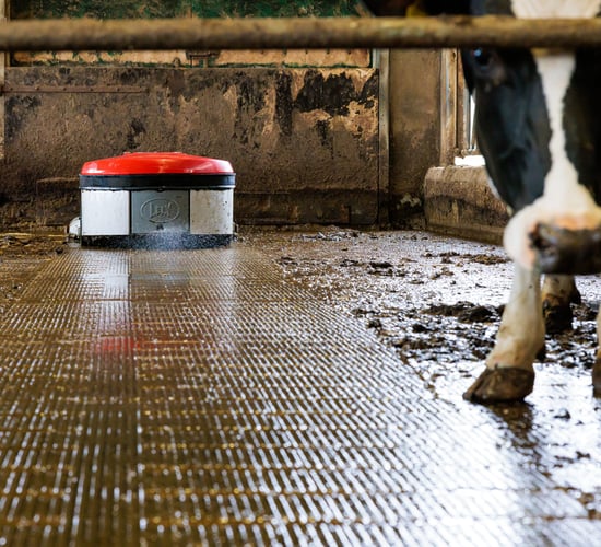 Lely Center Mitchelstown Platinum Sponsors at AXA National Dairy Show 2025