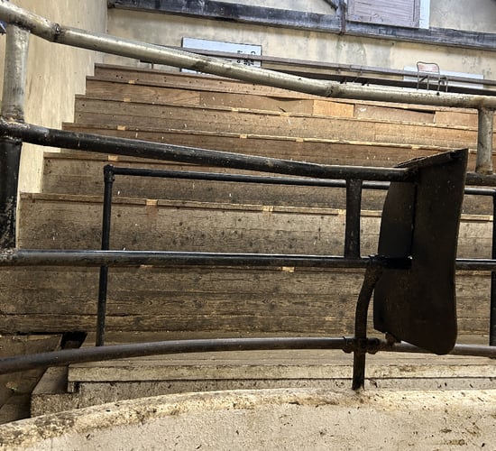 Concerns voiced by weanling exporters at AHI meeting