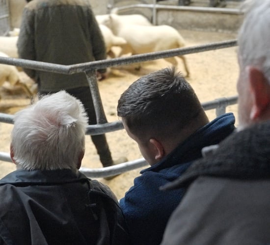 Watch: Budget 2026 - What are farmers at the mart saying?