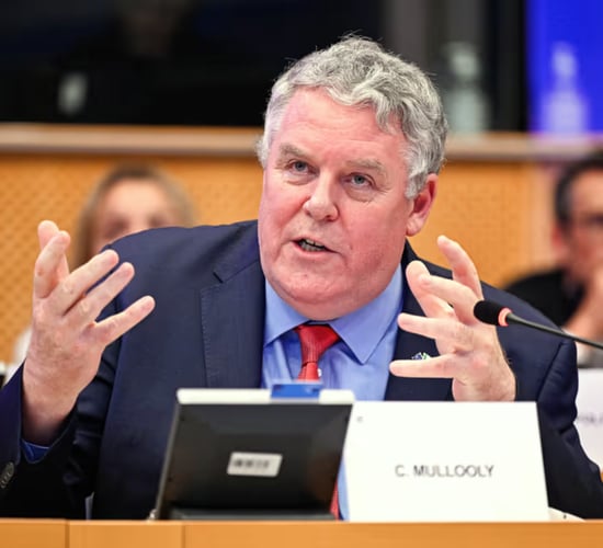 Support for farmers in Budget 2026 is 'wholly inadequate' - Mullooly