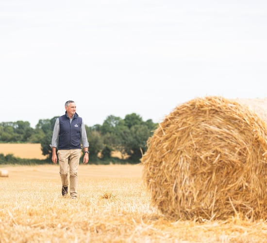 'Strong outlook for increased farm incomes in 2025' - agri-finance expert