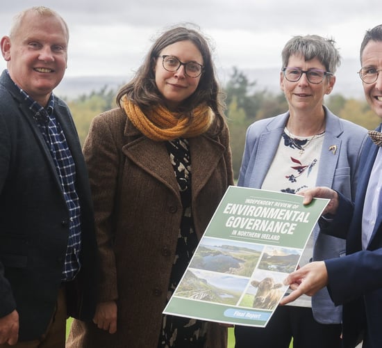 Independent environmental regulator recommended for NI in new report