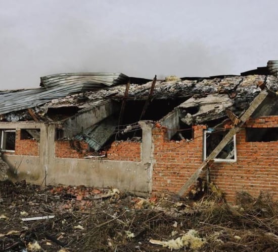 Graphic pics: 13,000 pigs killed in Ukraine during bombing of farm