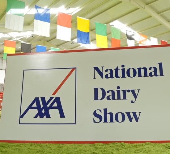 Watch: What to expect at the AXA National Dairy Show 2025