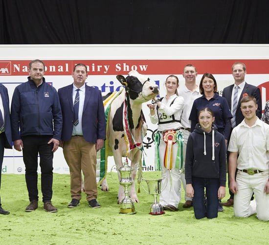 AXA National Dairy Show: Hallow Octain Twizzle is Supreme Champion