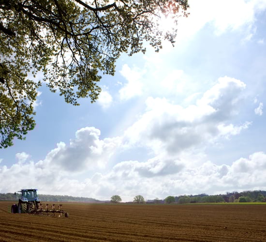 Ireland needs a 'CAP that is more straightforward for farmers' - Healy Rae