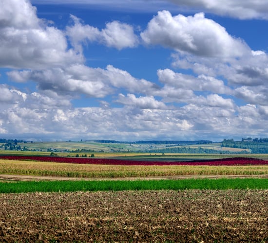 MEPs need 'to land a clear message and secure more ringfenced money for schemes'