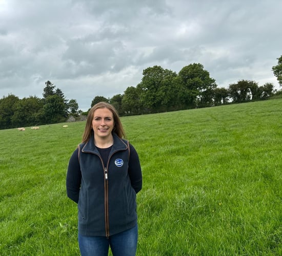 Martin Ryan moves to NCBC as new Thurles Mart manager confirmed