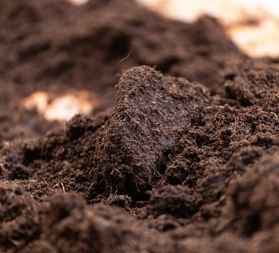 First of its kind Korean farming event in Co. Donegal