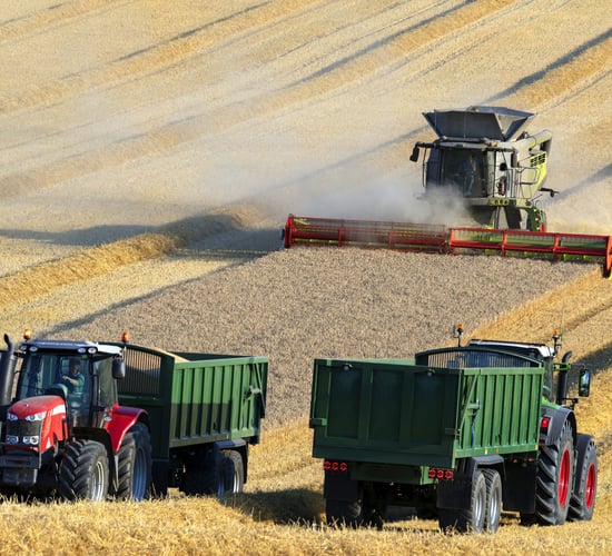 Dairygold confirms 2025 harvest cereal prices