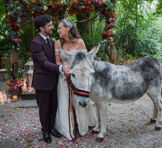 Meet Quiney, the donkey VIP wedding guest