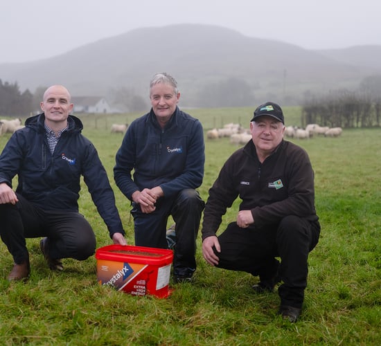 Now is the time to start preparing ewes for the 2026 lambing season